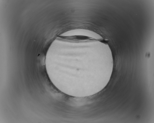 X0000112100041200909151211