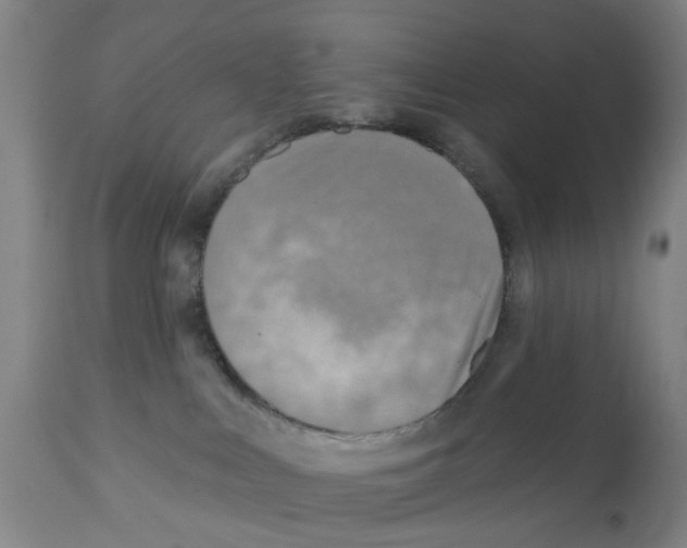 X0000112100043200909151211