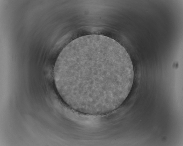 X0000112100044200909151211