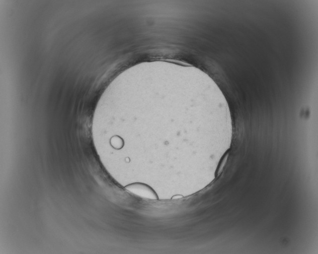 X0000112100045200909151211
