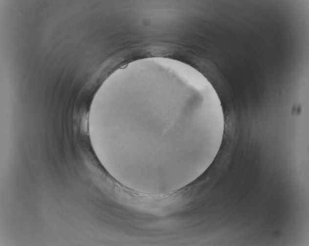 X0000112100046200909151210