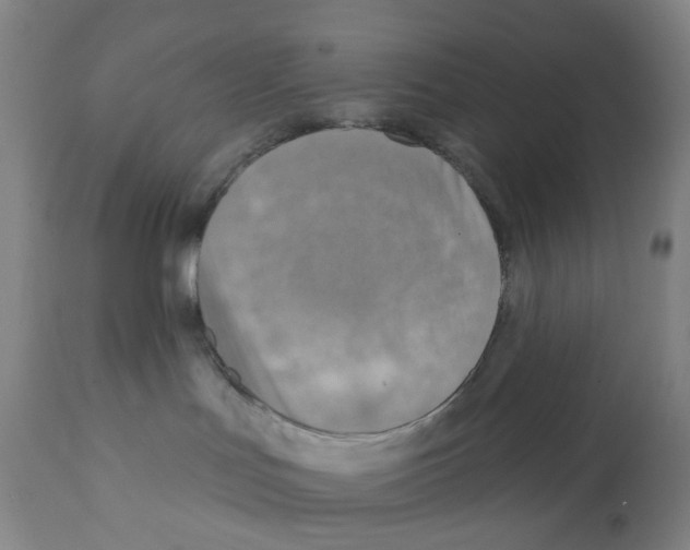 X0000112100047200909151210