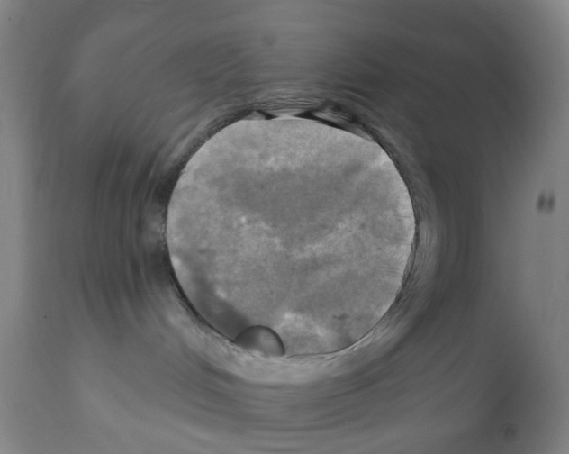 X0000112100048200909151210