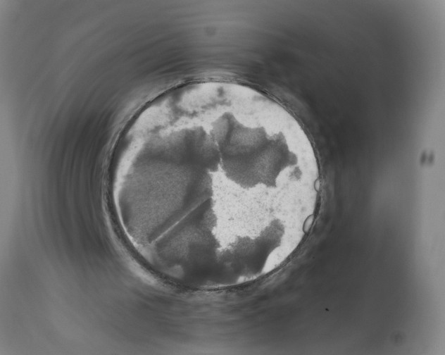 X0000112100049200909151210