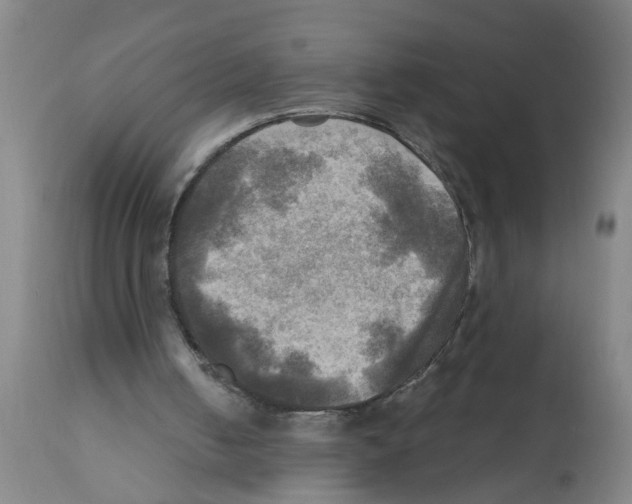 X0000112100050200909151210