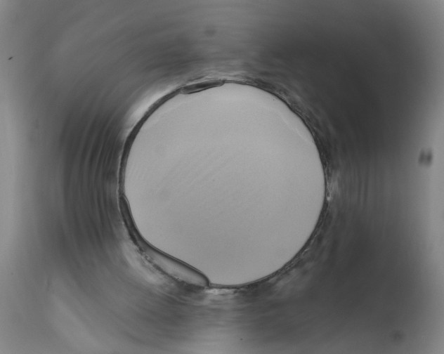 X0000112100052200909151210