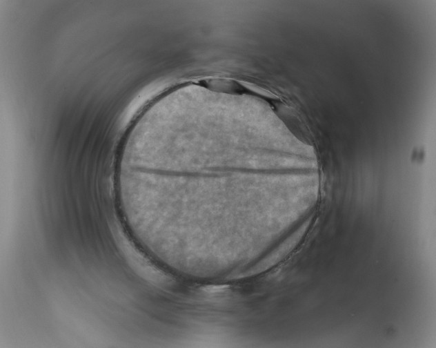 X0000112100054200909151210