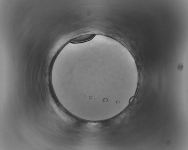 X0000112100055200909151210