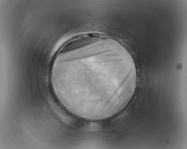 X0000112100056200909151210