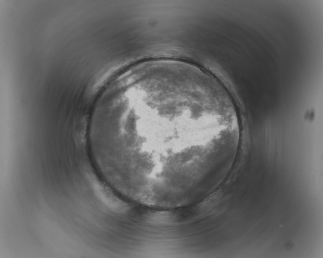 X0000112100058200909151210