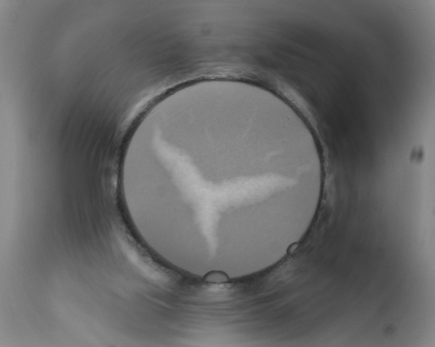 X0000112100059200909151210