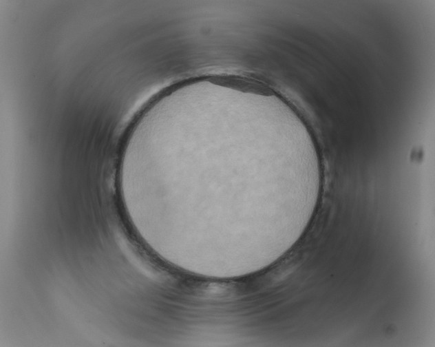 X0000112100060200909151210