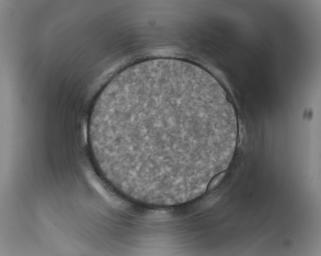 X0000112100061200909151210
