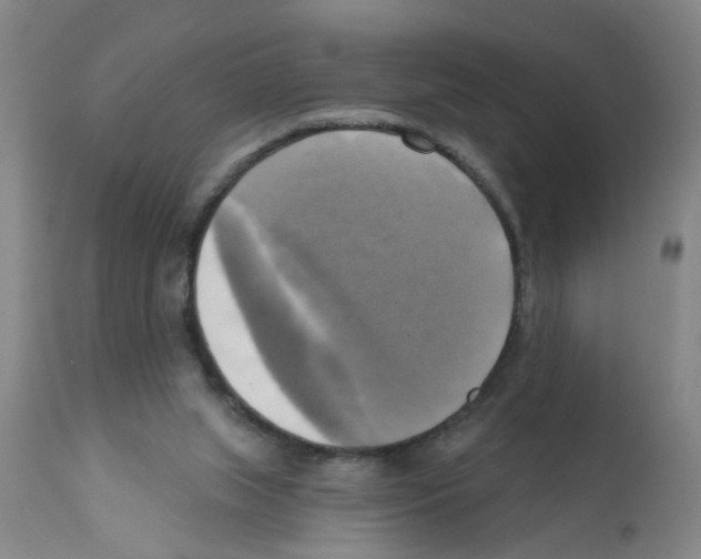 X0000112100063200909151210
