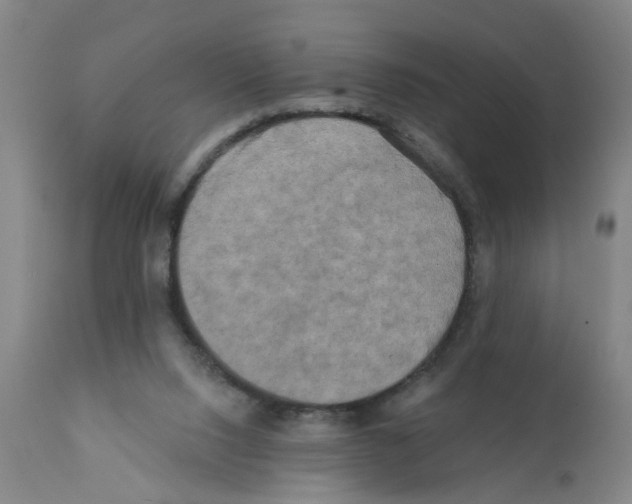 X0000112100064200909151210