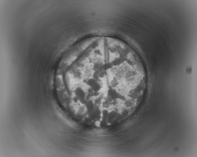 X0000112100065200909151210