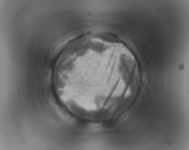 X0000112100066200909151210