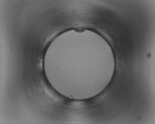 X0000112100067200909151210