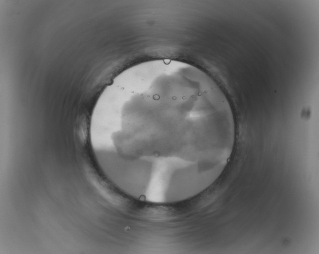 X0000112100069200909151210