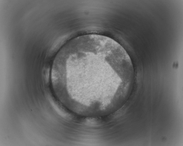 X0000112100070200909151210