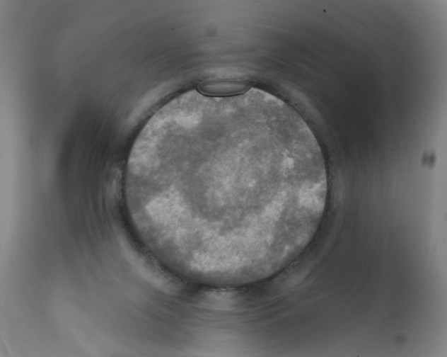 X0000112100071200909151210