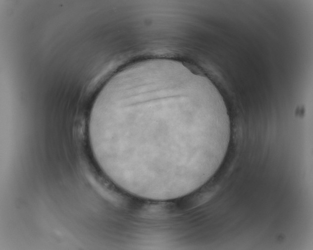 X0000112100072200909151210