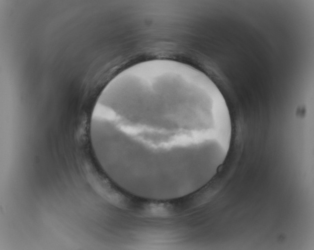 X0000112100073200909151210