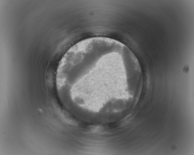 X0000112100074200909151210