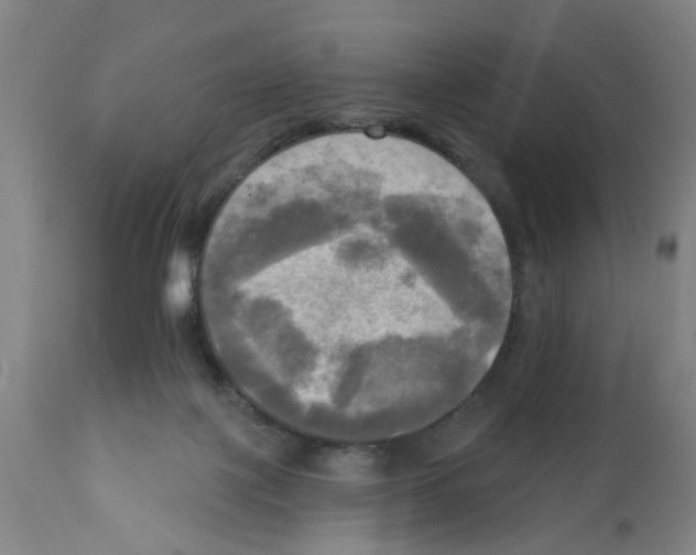 X0000112100075200909151210