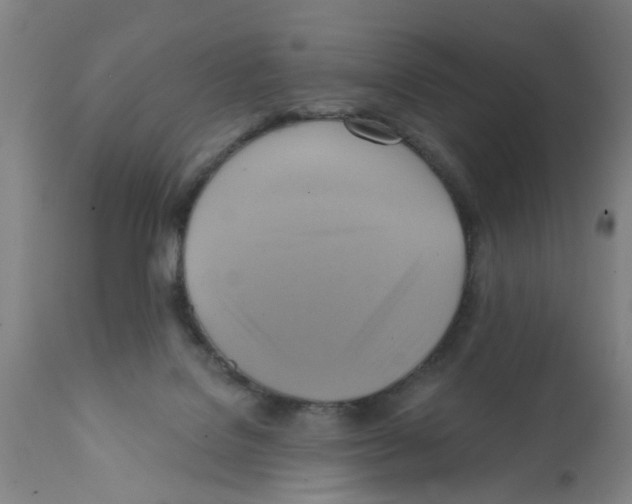 X0000112100076200909151210