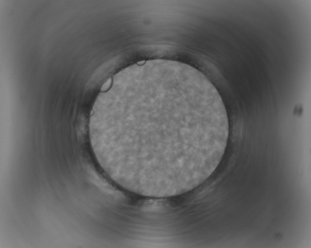X0000112100077200909151210