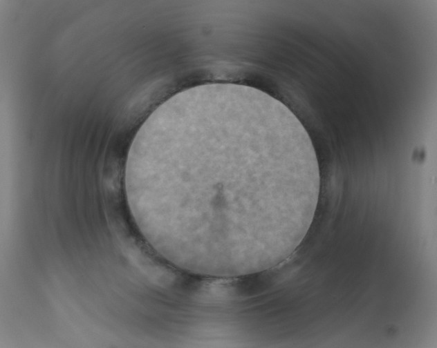 X0000112100078200909151210