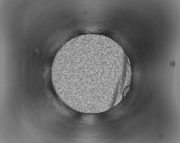 X0000112100079200909151210