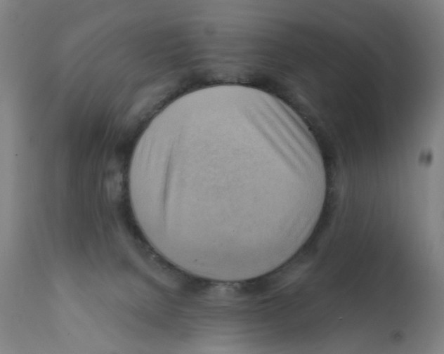 X0000112100080200909151210