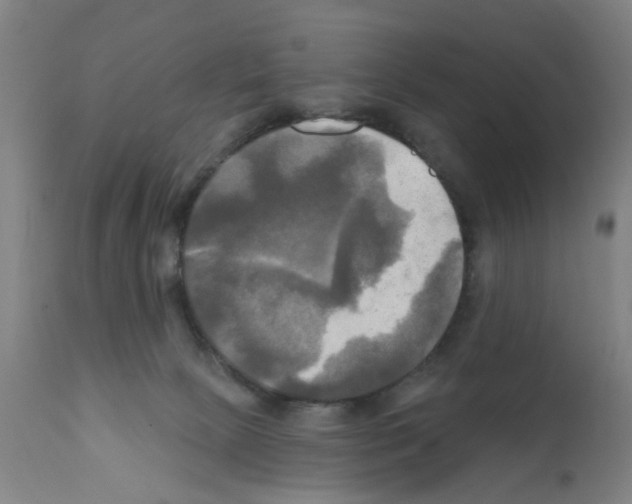 X0000112100081200909151210
