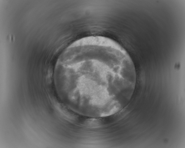 X0000112100082200909151210