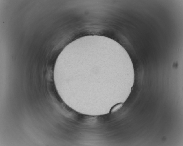 X0000112100083200909151210