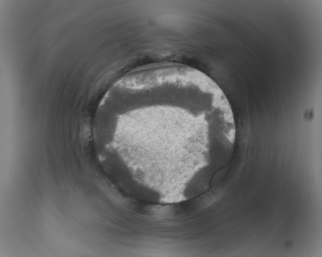 X0000112100085200909151210