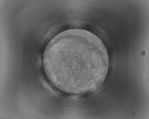 X0000112100086200909151210