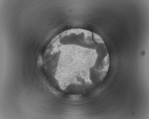X0000112100089200909151210