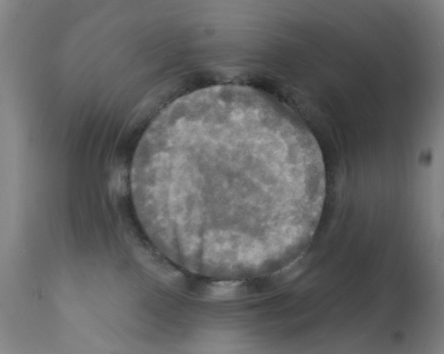X0000112100090200909151210