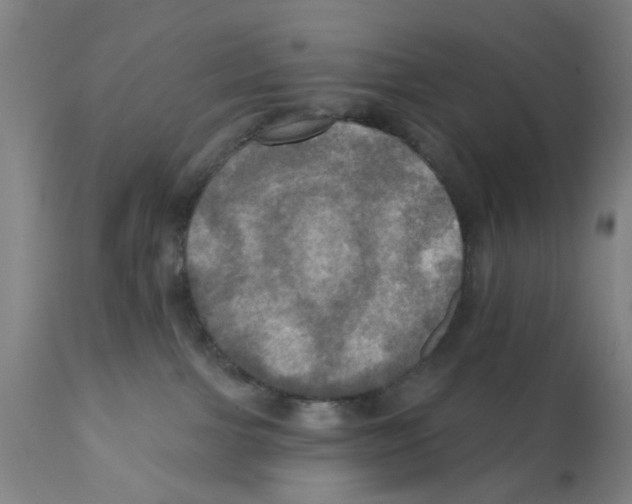 X0000112100091200909151210