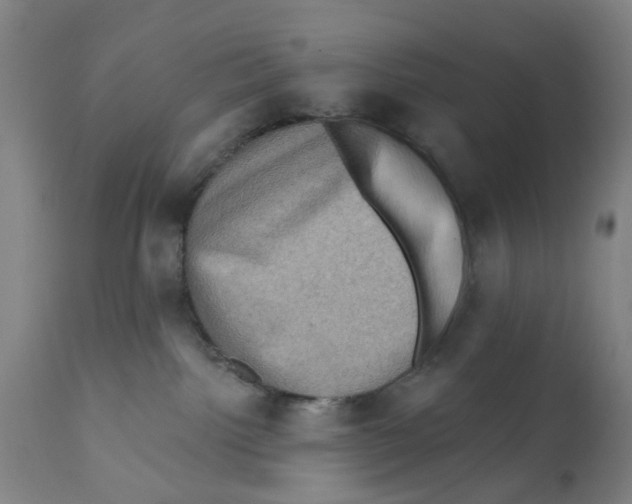 X0000112100092200909151210