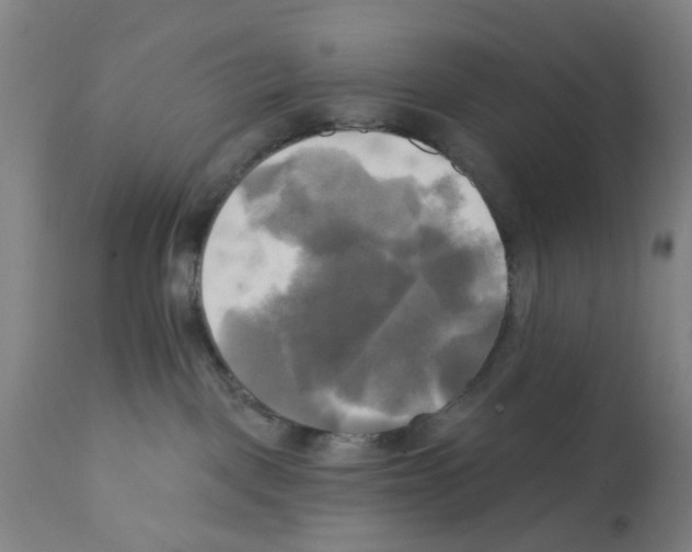 X0000112100093200909151210