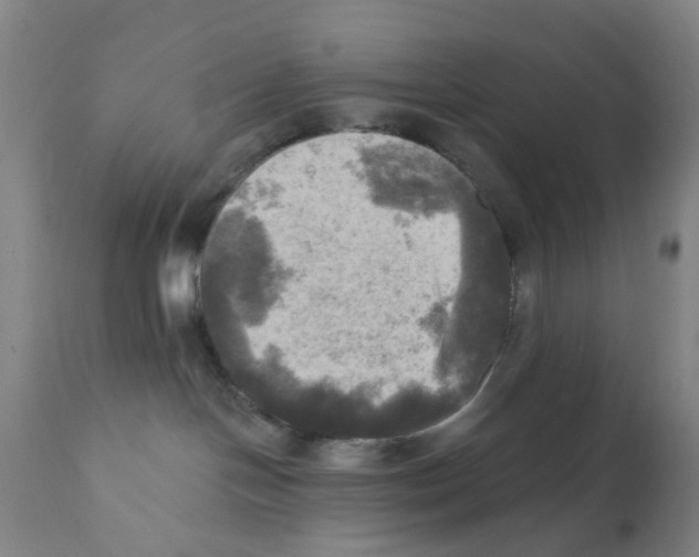 X0000112100094200909151210