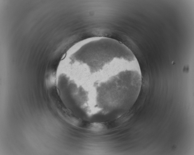 X0000112100095200909151210
