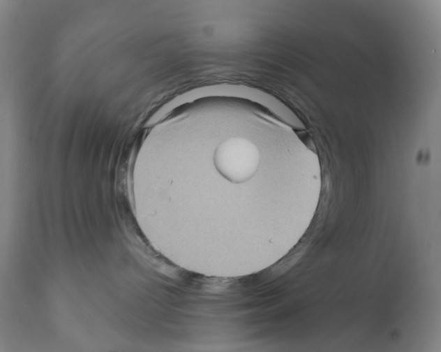X0000112100096200909151210