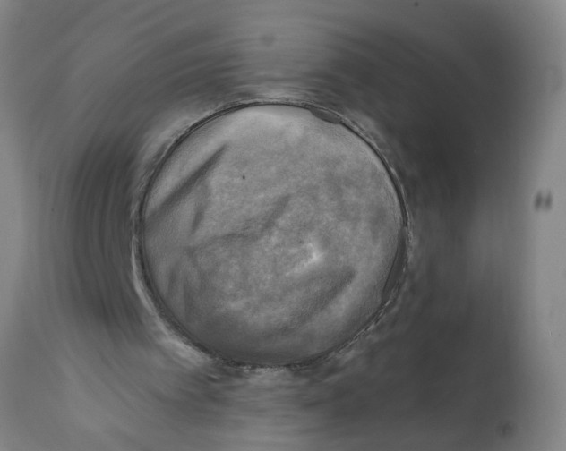 X0000112100097200909151210