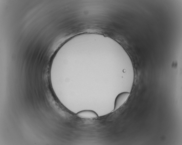 X0000112100098200909151210