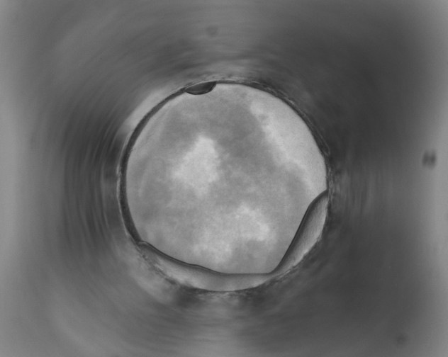 X0000112100100200909151210